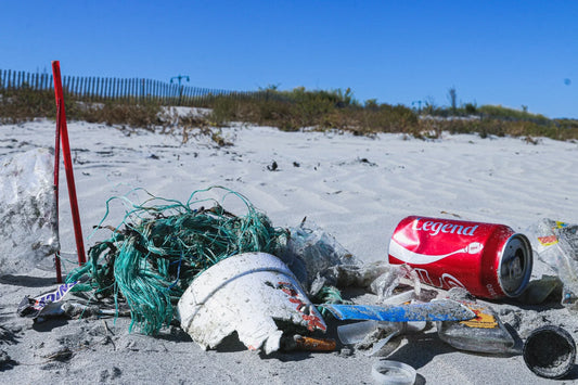 Everything You Need to Know about Dive Against Debris