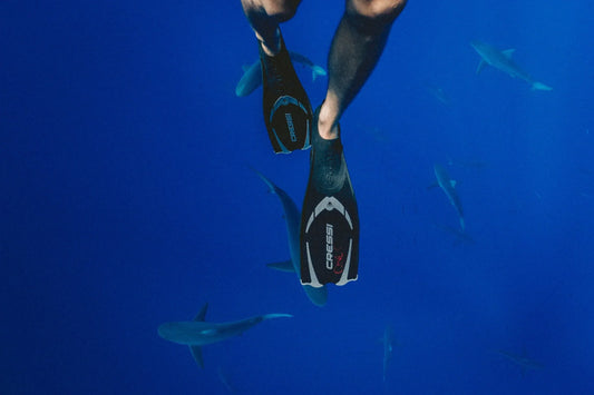 Choosing The Right Fins