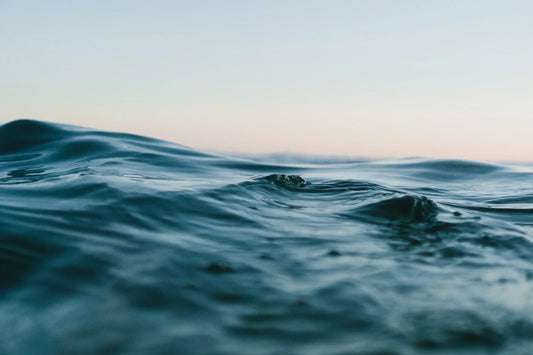 6 Simple Ways to Help Improve Ocean Health