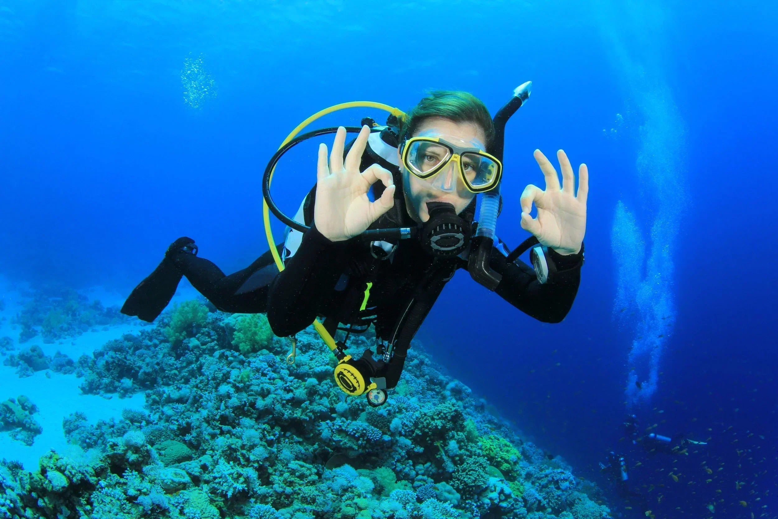 Bubbles & Butterflies: 10 Tips for Beating First-Day Diving Nerves