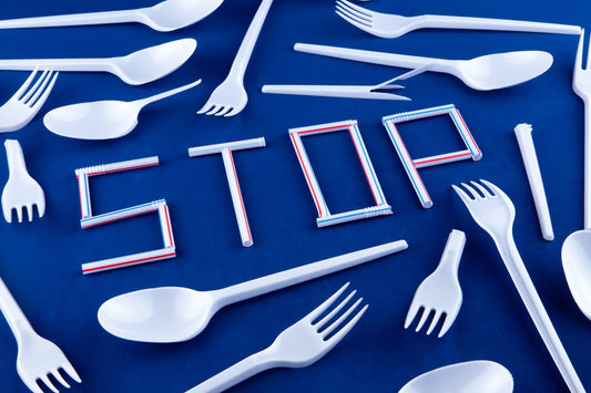 Single-Use Plastics: Everything You Need To Know