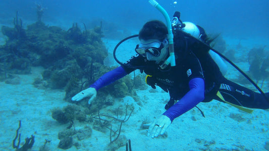 Top Tips on How To Become an Eco-Friendly Diver
