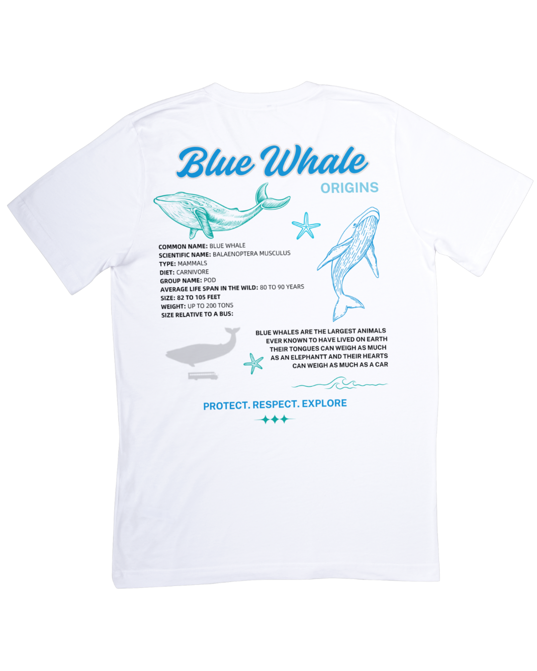 Blue Whale Educational T-Shirt